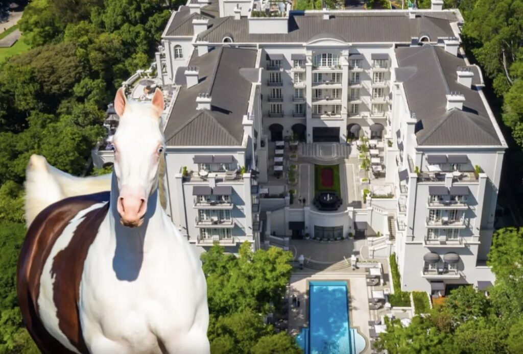 Haras Frange Promove Leilão Exclusivo em Ambiente Luxuoso